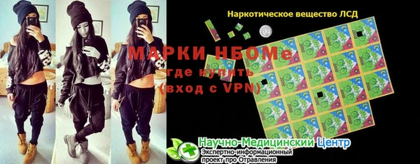 индика Алексеевка
