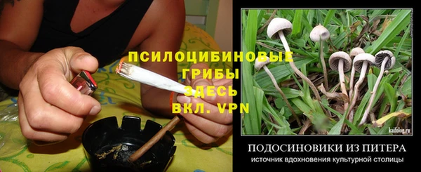 героин Алексин